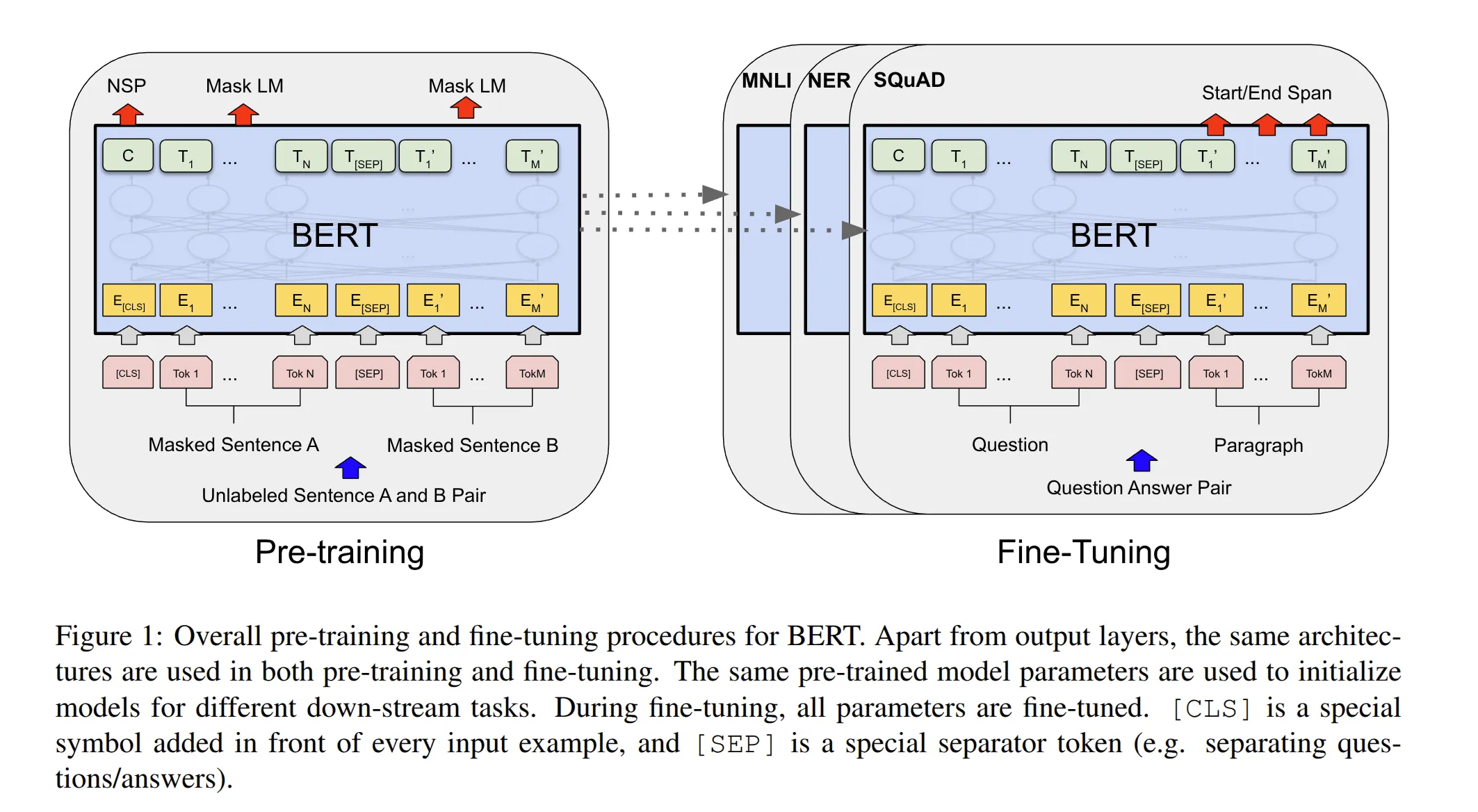 BERT 论文中的模型架构