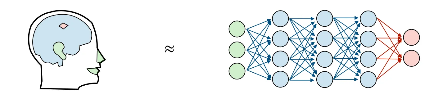 大脑与人工神经网络
